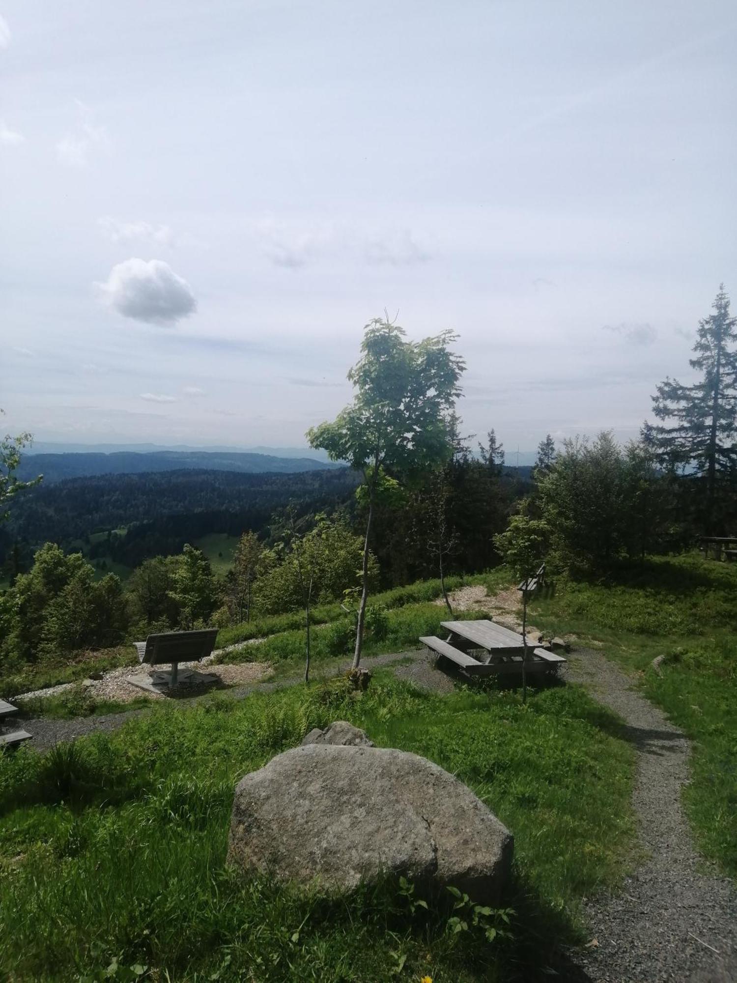 Hotel am Kurpark Todtmoos Dış mekan fotoğraf